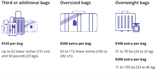 United Airlines Baggage Policy Checked