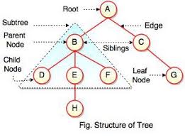 Nodes In Trees Data Structure Kamalov Otash Medium