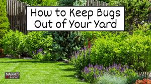 how to keep bugs out of your yard ep