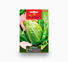 lettuce agrimax seeds in