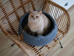 These cat beds—including crocheted baskets, cubby holes, and other sets of modern furniture—are every bit as stylish as they are functional. Cozy Chunky Cat Bed In Dark Gray Minimal Style Cat Bedding Etsy In 2021 Cat Bed Modern Cat Cat Basket
