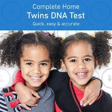 twin dna test at home zygosity dna