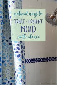 homemade mold cleaner spray tips to