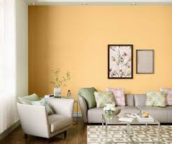 yellow metal house paint colour shades