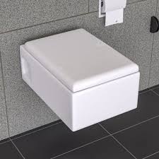 Dual Flush Toilet In White Ceramic