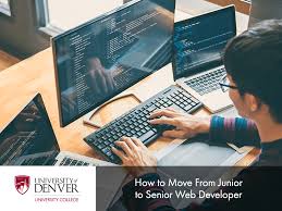 junior to senior web developer