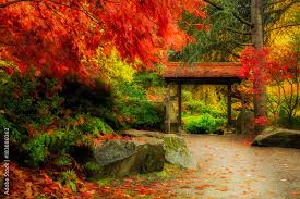 Wooden Japanese Gate And Lush Fall