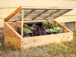 Continue to gradually accustom them to the outdoor temperatures over the course of 7 to10 days. How To Build A Cold Frame Hgtv
