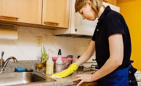 london cleaner lady ile ilgili görsel sonucu