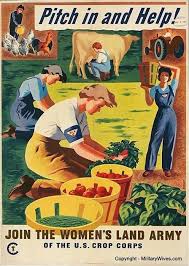 victory garden posters from ww2