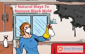 7 Natural Ways To Remove Black Mold