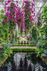 New York Botanical Garden Show