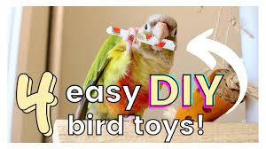 4 easy diy bird toys you