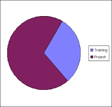 Office Web Components Show Percentage In Pie Chart