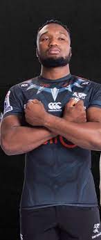 sharks rugby black panther jersey 2019