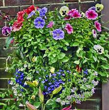 Wall And Hanging Baskets