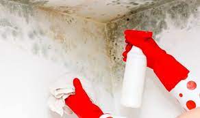 How To Clean Mould On Your Walls Easy