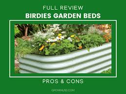 Stop Wasting Time Birdies Garden Beds
