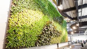 Top 10 Benefits Of Living Green Walls