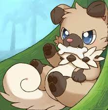 And if you do that, you'll be able to raise your team's affection towards you quickly. Image Pokemon Sun And Moon Huiro New Dog Pokemon Pokemon Amino