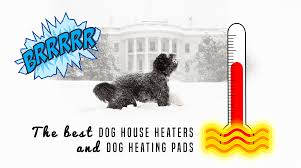 Delonghi hmp1500 mica panel heater the delonghi hmp1500 mica panel heater is one of the best heater that your dog kennel really deserves. 5 Best Dog House Heaters For Winter 2021 Update