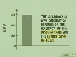 · the amort worksheet will also allow us to determine how much principal and interest has been paid. 4 Ways To Calculate Npv Wikihow
