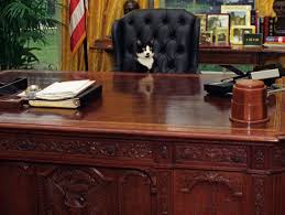Your audacity and entrepreneur spirit can only be. Chris Lutolf On Twitter Internationalcatday Which Cat Does Not Dream Of Sitting Behind The Resolute Desk In The Oval Office Caption Socks Potus42 Billclinton S Presidential Pet Sitting Behind The Resolute Desk
