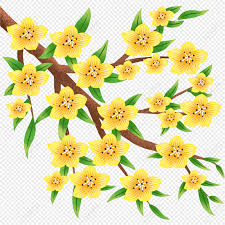 yellow flowers yellow flowers