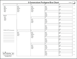 Free 6 Generation Pedigree Chart Download Template Maker App
