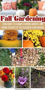 Your Fall Gardening Guide Essential
