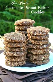 Directions sift flour, salt, soda, and baking powder. No Bake Chocolate Peanut Butter Cookies Recipe Vegan In The Freezer
