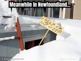 Meanwhile in Newfoundland - 🇨🇦 Canada Memes