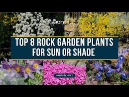 Rock Garden Plants For Sun Or Shade