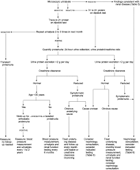 Proteinuria In Adults A Diagnostic Approach American