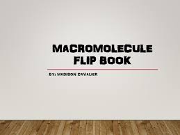 Macromolecule Flip Book Pdf 2 Pages 1 7 Text Version