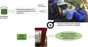 distillery wastewater treatability