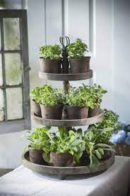 10 Easy Diy Herb Gardens Rachel