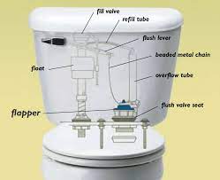 How to Fix Your Leaky Toilet Flapper - Pinellas County