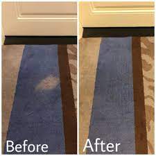 how to remove bleach stains on carpet