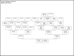 Climbing My Family Tree Maternal Ancestor Charts To