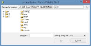 configure network drive visible for sql