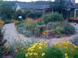 California Native Garden