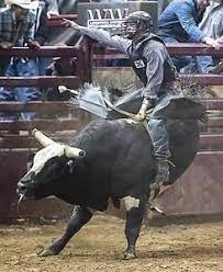bull riding rodeo cowboy ride phone