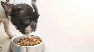 French bulldogs are smaller than the english and american ones, therefore their dietary needs vary. Best Dog Foods For French Bulldogs Puppies Adults Seniors