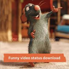 comedy funny video status