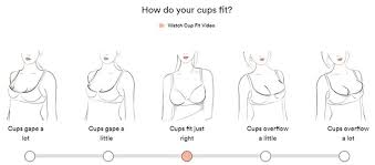 Our quiz guides you through bra fit, features. Review Of Thirdlove Online Bra Shopping Experience Techlicious