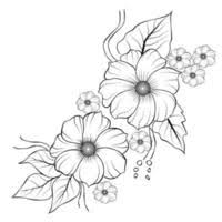 flower drawing vector art icons and