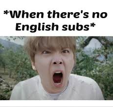 Image result for english subs memes image