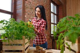 7 Indoor Vegetable Garden Ideas To