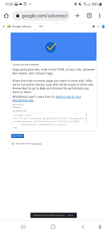 google adsense code in my wordpress